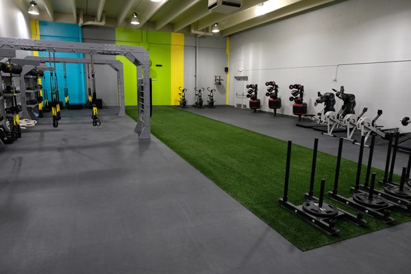 PaviGym with Turf