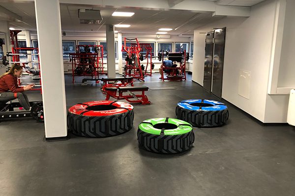 PaviGym Virgin Rubber Tiles