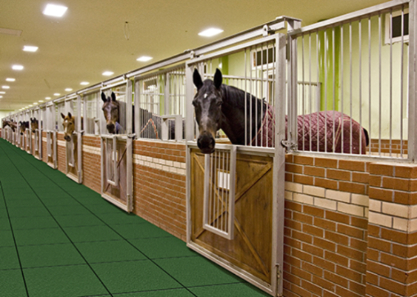 PopLock Equine (1)
