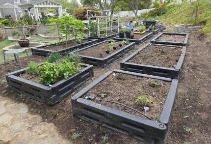 12" high plastic panels make great raised garden beds.