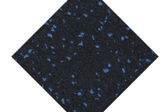 Guardian_RR_Blue