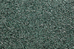 green pigmented