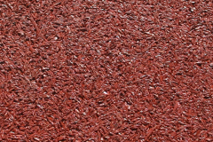 red pigmented