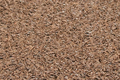 tan pigmented