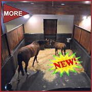 StableComfort-Page-Image
