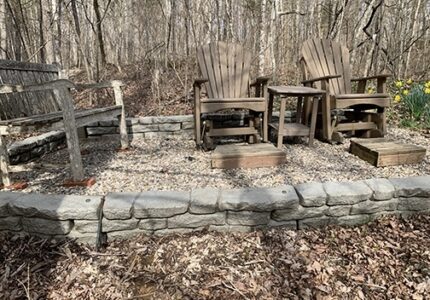 Whitacre-2