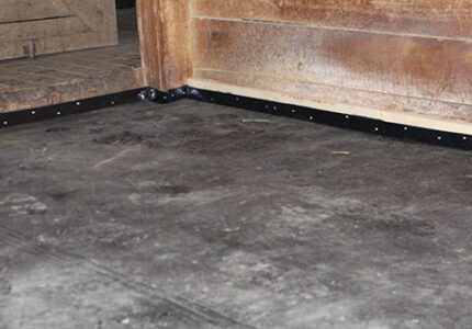 Stable Comfort Close-up