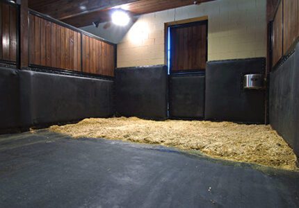 Stable Comfort with Bedding